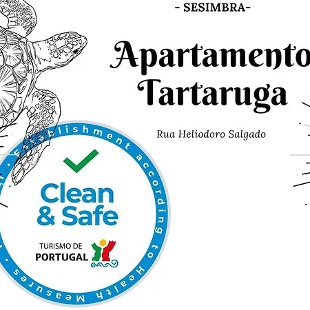 Tartaruga Wonderful & Modern