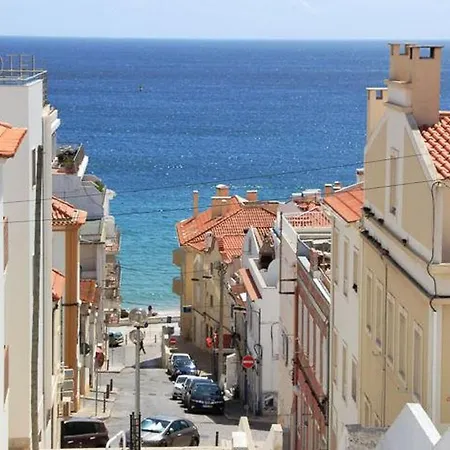 Tartaruga Wonderful & Modern Sesimbra