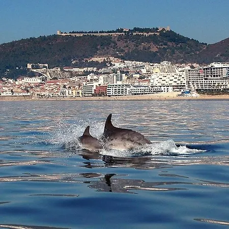 Apartamento Tartaruga Wonderful & Modern