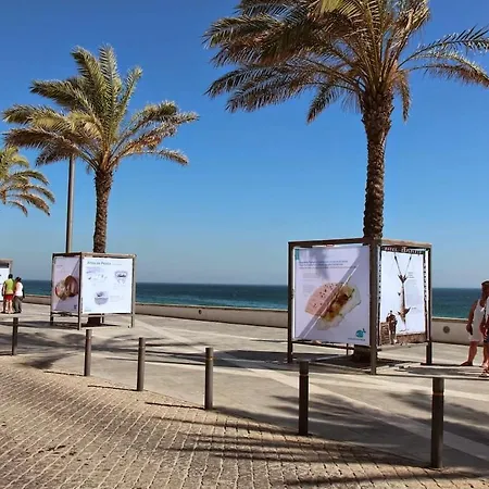 Tartaruga Wonderful & Modern *