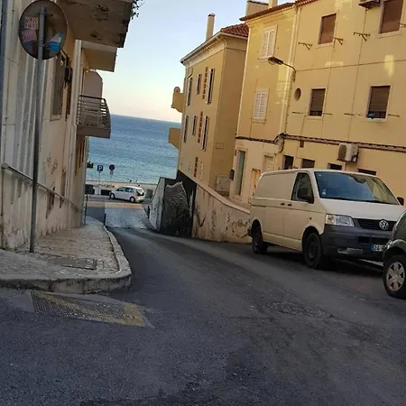 Tartaruga Wonderful & Modern * Sesimbra