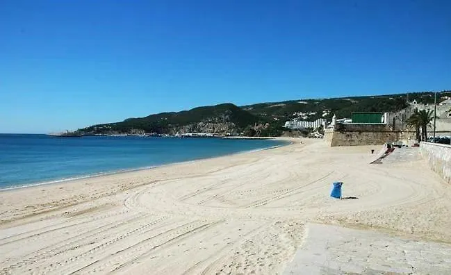 Tartaruga Wonderful & Modern