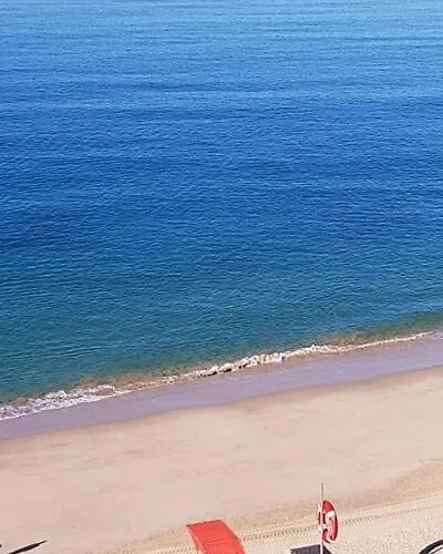 Tartaruga Wonderful & Modern *