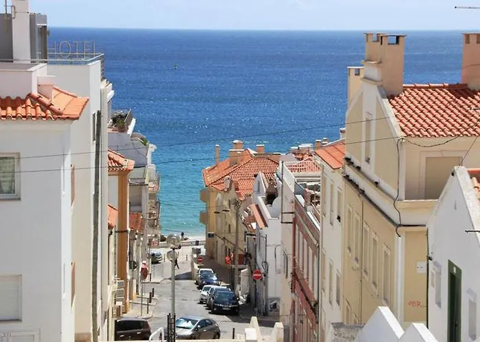 Tartaruga Wonderful & Modern Σεσίμπρα