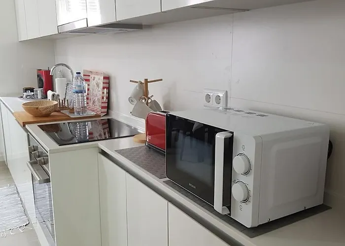 Tartaruga Wonderful & Modern *