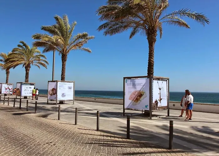 Tartaruga Wonderful & Modern *